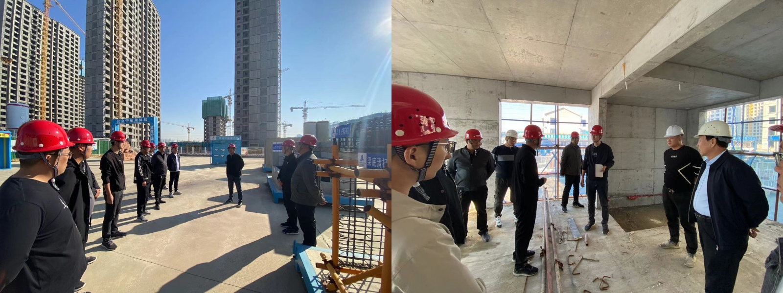 1698129555143529.jpg 3.jpg