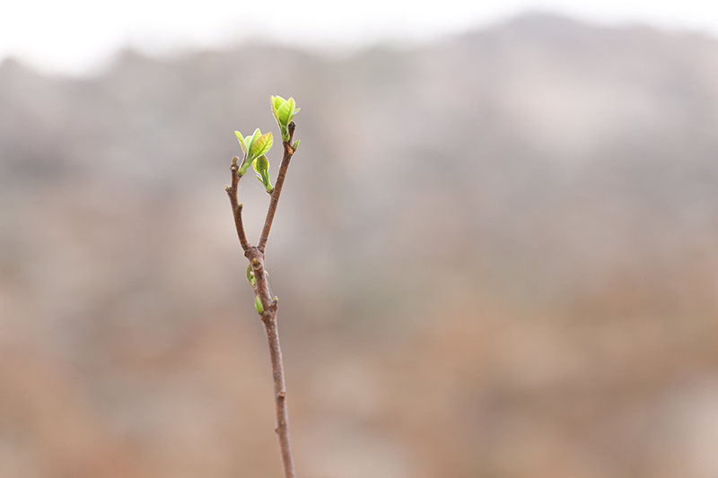 1712461643136589.jpg IMG_4781 拷贝.jpg