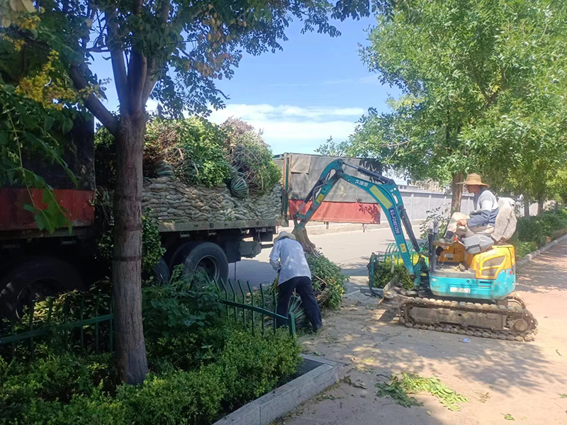 1727333343154785.jpg 333.jpg