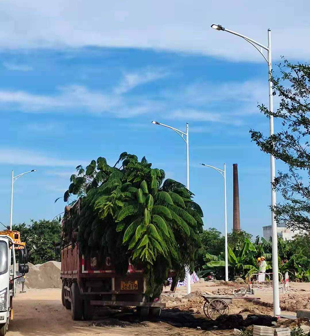 华体会在线注册,华体会(中国)助力东莞洪梅万科星城道路亮化工程